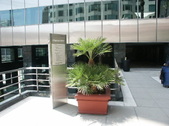 Enlarge photo 87