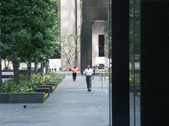 Enlarge photo 51