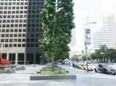Enlarge photo 67