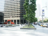 Enlarge photo 73