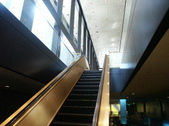 Enlarge photo 157