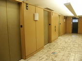 Enlarge photo 172