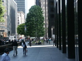 Enlarge photo 179