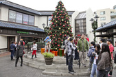 Enlarge photo 13
