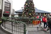 Enlarge photo 21