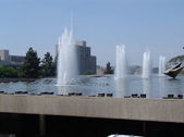 Enlarge photo 199