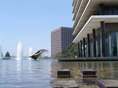 Enlarge photo 202