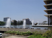 Enlarge photo 203