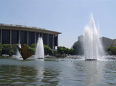 Enlarge photo 219