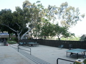 Enlarge photo 26