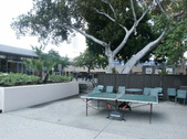Enlarge photo 34