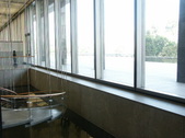 Enlarge photo 73