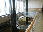 Enlarge photo 83