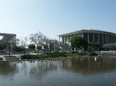 Enlarge photo 99