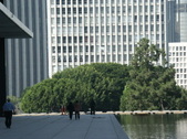 Enlarge photo 132