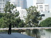 Enlarge photo 137