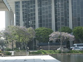 Enlarge photo 144