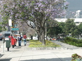 Enlarge photo 167