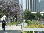 Enlarge photo 170