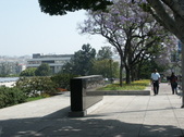 Enlarge photo 175