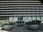 Enlarge photo 176