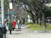 Enlarge photo 179