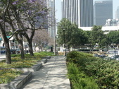 Enlarge photo 181