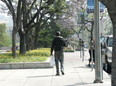 Enlarge photo 188