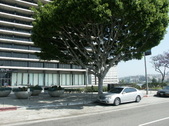 Enlarge photo 191
