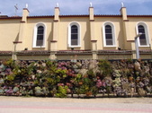 Enlarge photo 37
