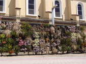 Enlarge photo 38