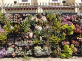 Enlarge photo 39