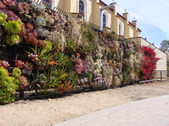 Enlarge photo 40