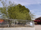 Enlarge photo 45