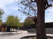 Enlarge photo 47