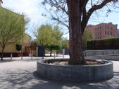 Enlarge photo 49