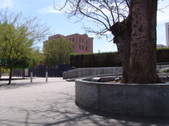 Enlarge photo 53