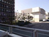 Enlarge photo 26