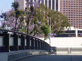 Enlarge photo 41