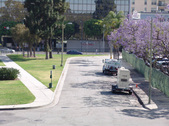 Enlarge photo 48