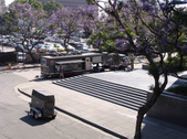 Enlarge photo 53