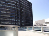 Enlarge photo 55