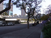 Enlarge photo 62