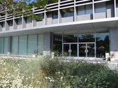 Enlarge photo 113