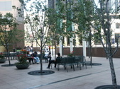 Enlarge photo 26