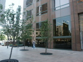 Enlarge photo 30