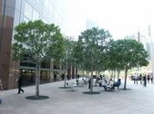 Enlarge photo 37