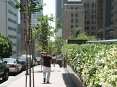 Enlarge photo 26