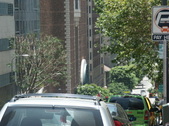 Enlarge photo 49