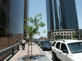 Enlarge photo 50